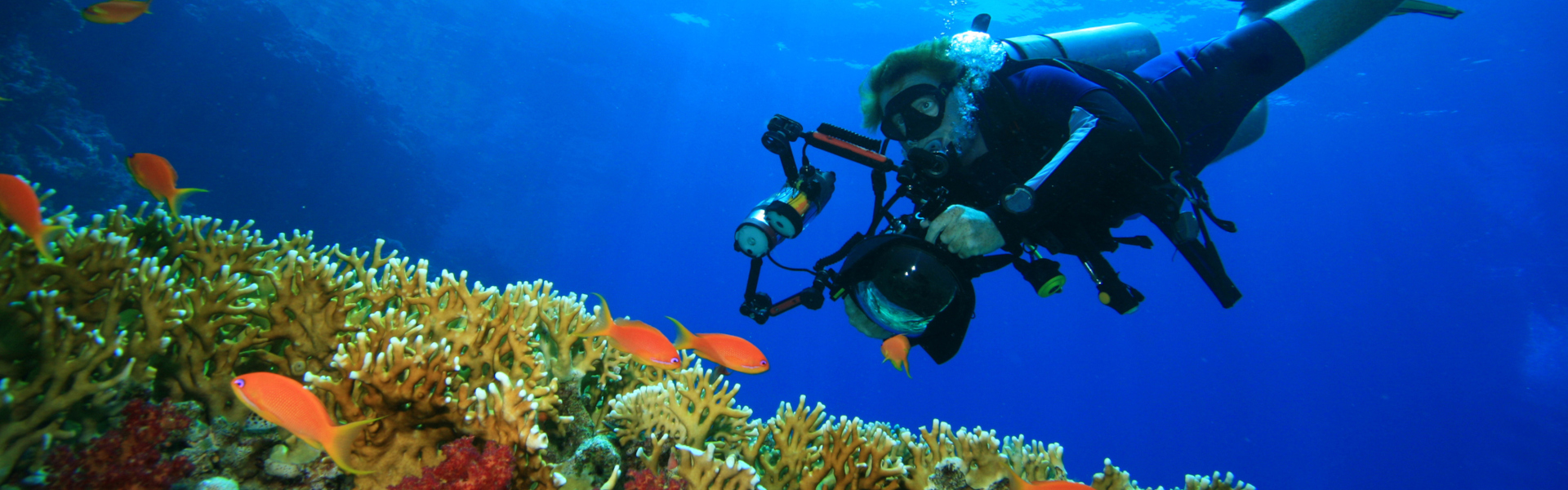 Open internacional Caza Foto Sub