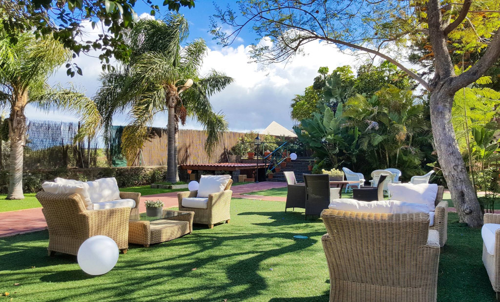 Terraza amueblada con palmeras y césped en un jardín en Tenerife.