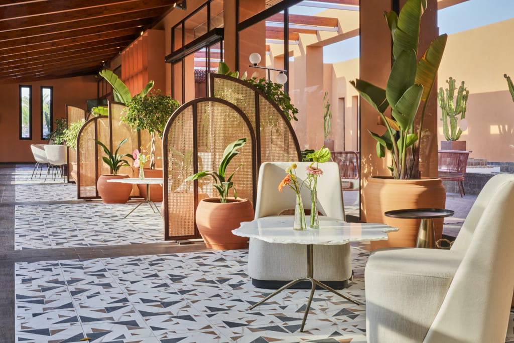 Terraza con sillas, mesas y plantas en un hotel de Tenerife.