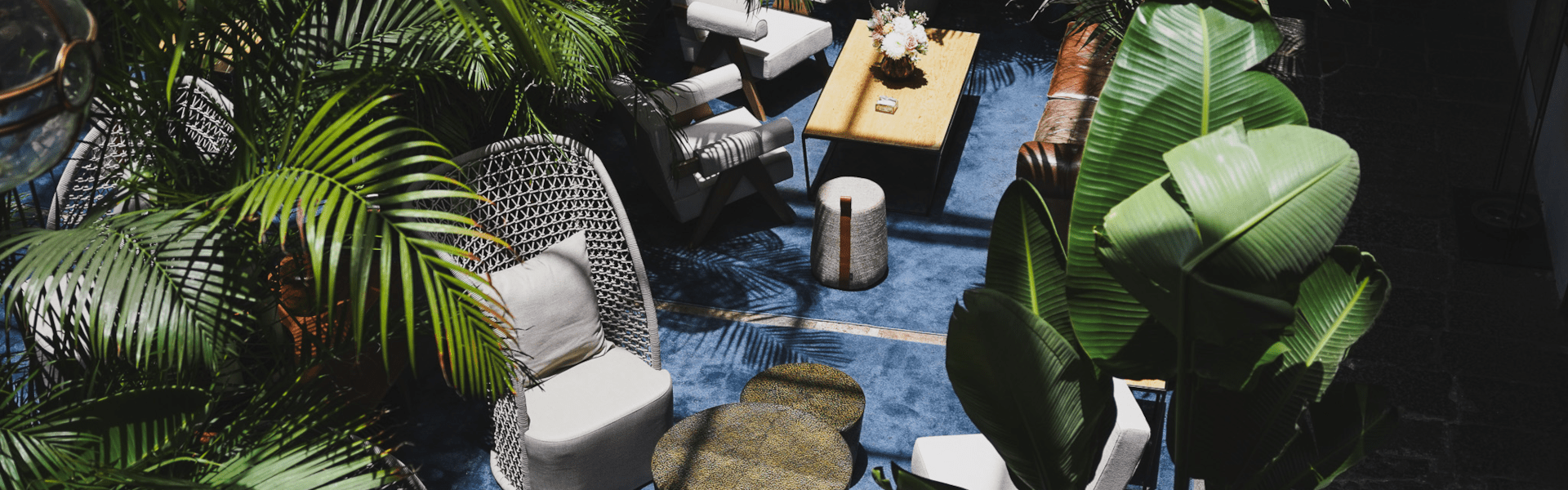 Terraza con jardines