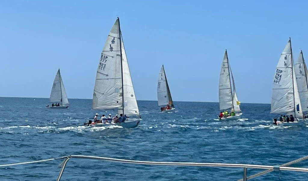 eleros navegando en el mar