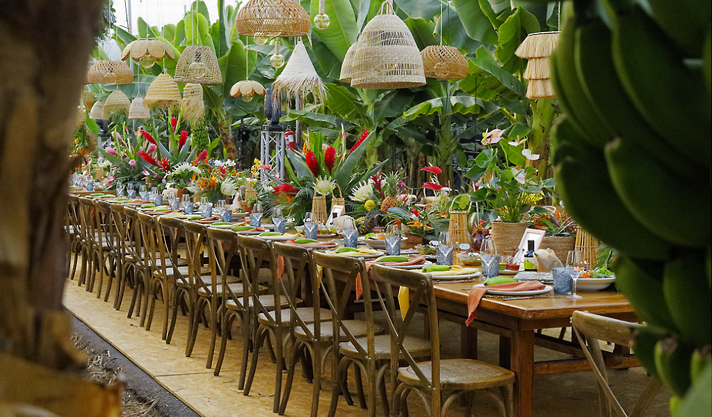 Mesa larga decorada con flores y frutas en un entorno de banano en Tenerife.