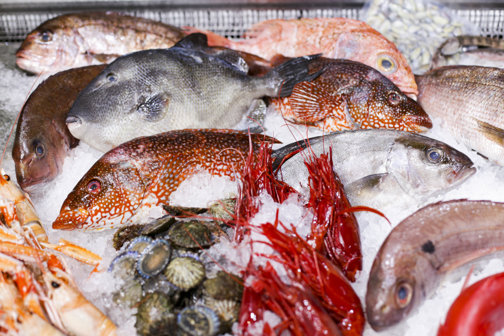 Variedad de pescados y mariscos frescos sobre hielo en Tenerife.