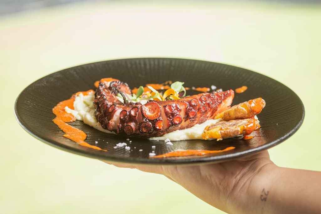 Pulpo a la parrilla sobre puré, decorado con salsa, servido en Tenerife.