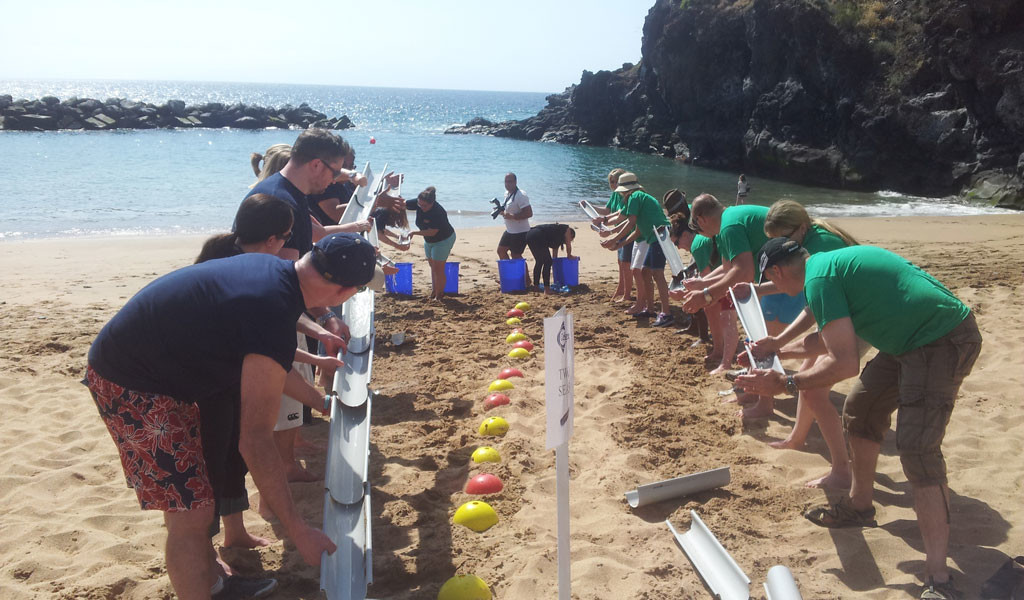 Actividad en grupo en la playa