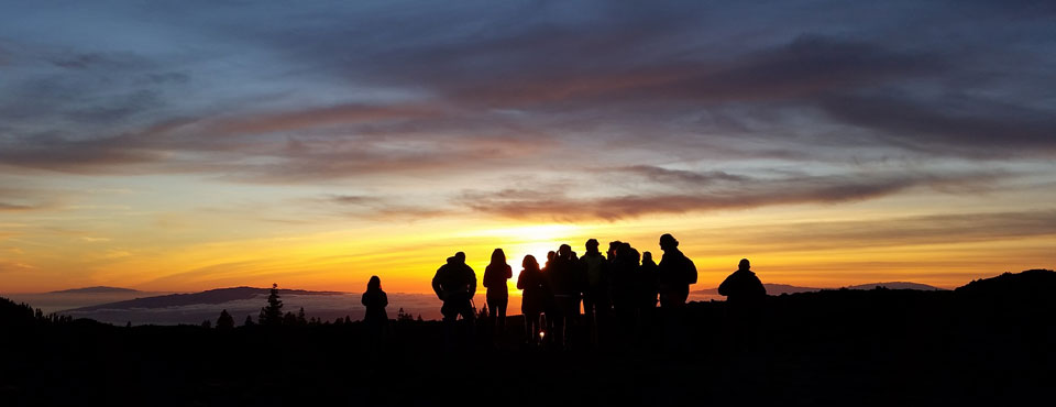 Macaronesia Travel Assistance