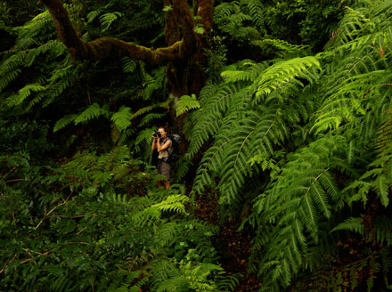Servicios para empresas de ocio y servicios turísticos
