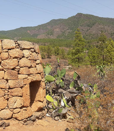 El tesoro de las medianías de Candelaria