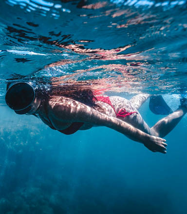 Snorkeling + Paseo en barco
