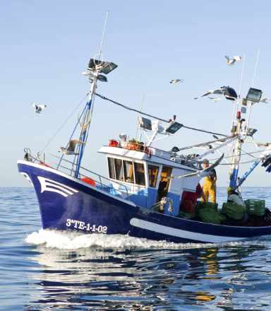 Centro de Interpretación del mar y la pesca y Cofradía de Pescadores