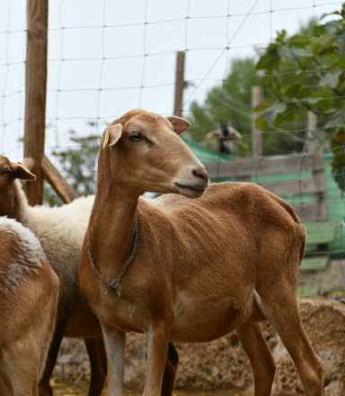 Finca Ecológica La Jara