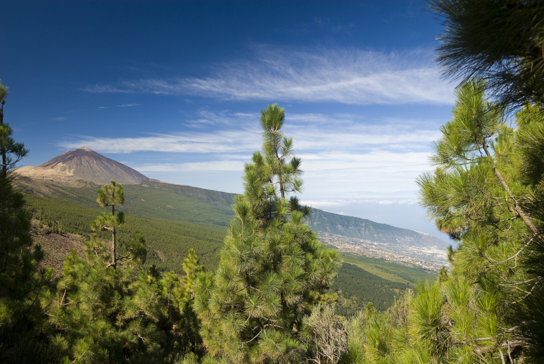 Ver rutas panorámicas