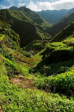 Vista panorámica de un hermoso valle extenso y natural