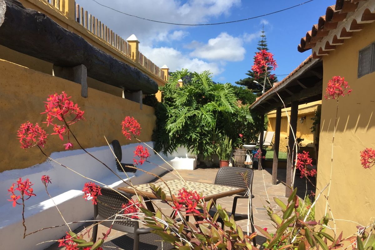 Patio con sillas y flores rojas en una casa en Tenerife.