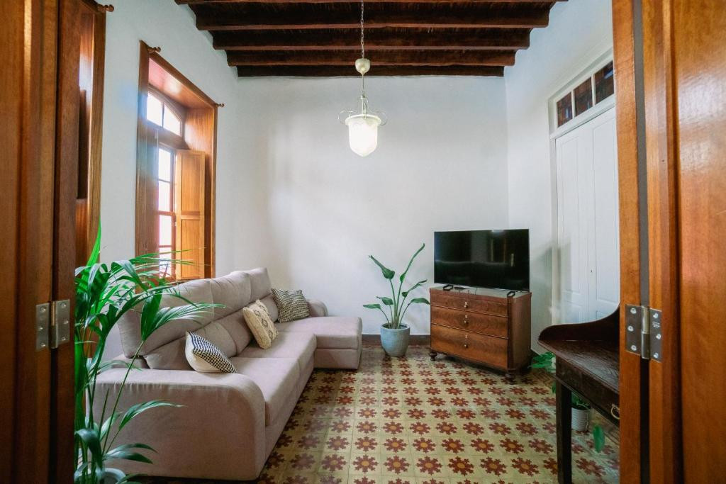 Sala de estar con sofá, plantas, televisión y techo de vigas en Tenerife.