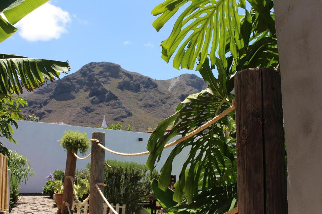 Plantas tropicales y vista de montaña en Tenerife.