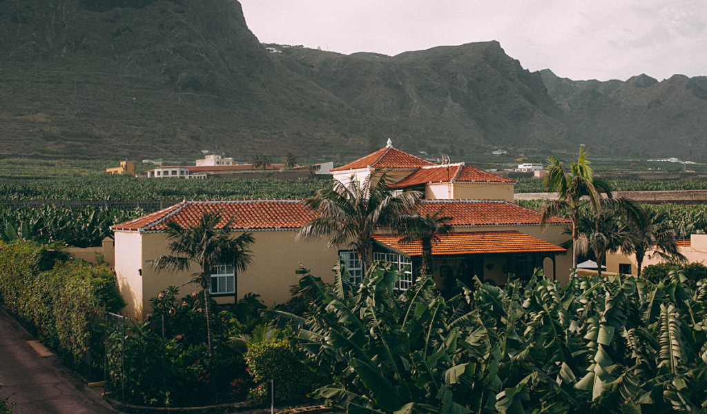 Casa rodeada de plataneras en un paisaje montañoso en Tenerife.