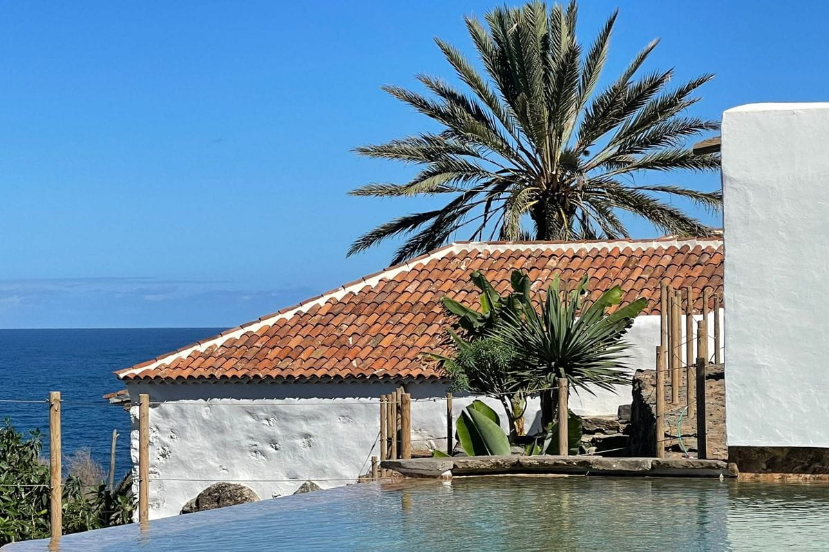 Techo de tejas y palmera junto al mar en Garachico, Tenerife.