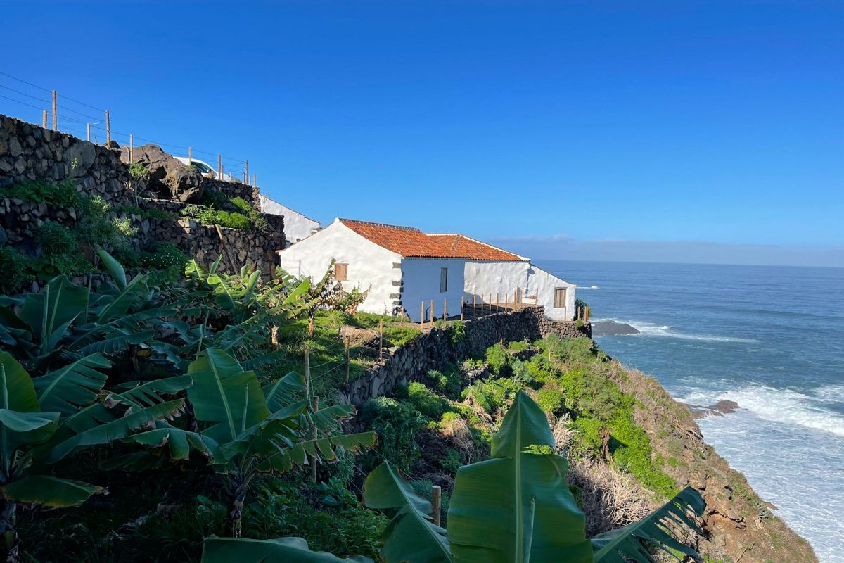 Casa blanca en acantilado junto al océano, Tenerife. Plantas de plátano en primer plano.