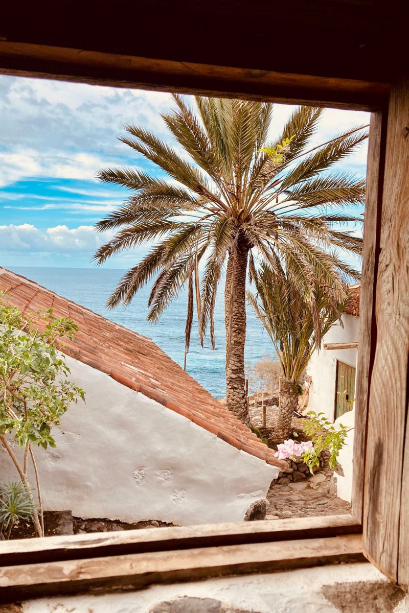 Tejado de casa con palmera y vista al mar en Tenerife.
