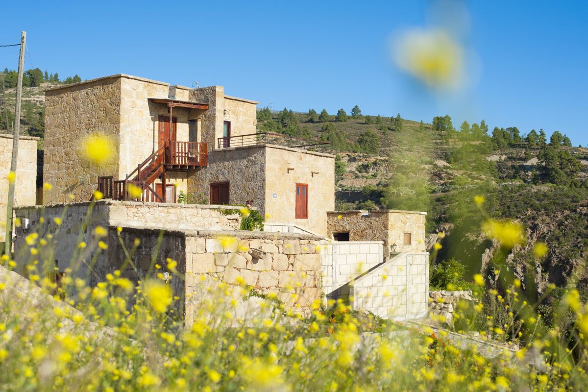 Casa de piedra rodeada de flores amarillas en un paisaje montañoso en Tenerife.