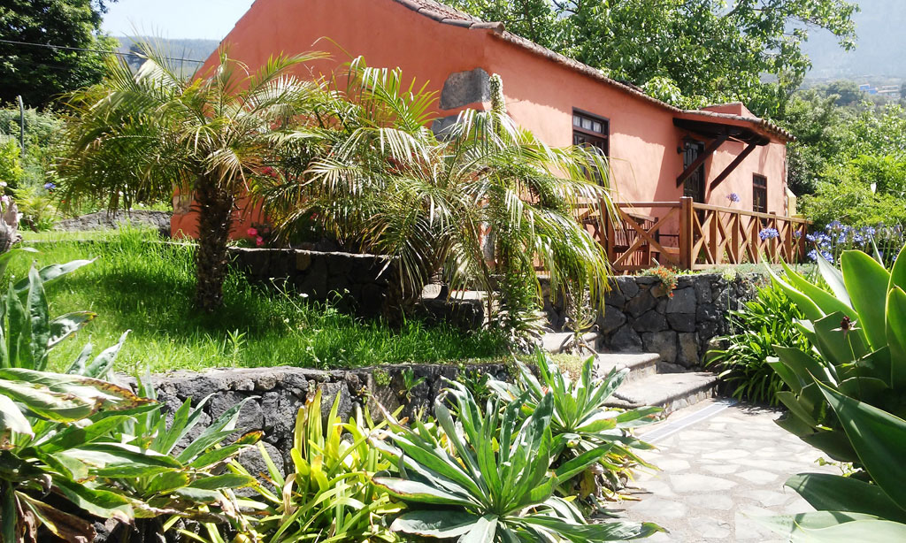 Casa rural con jardín rodeado de palmeras en Tenerife.