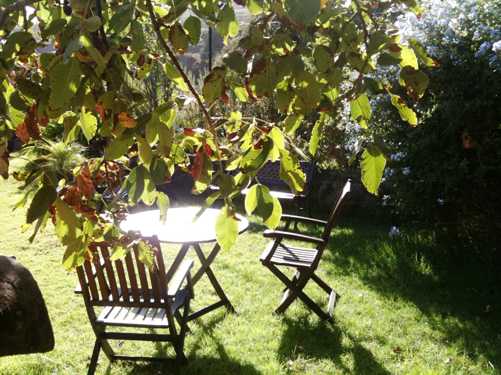 Mesa y sillas de madera bajo un árbol en un jardín de Tenerife.