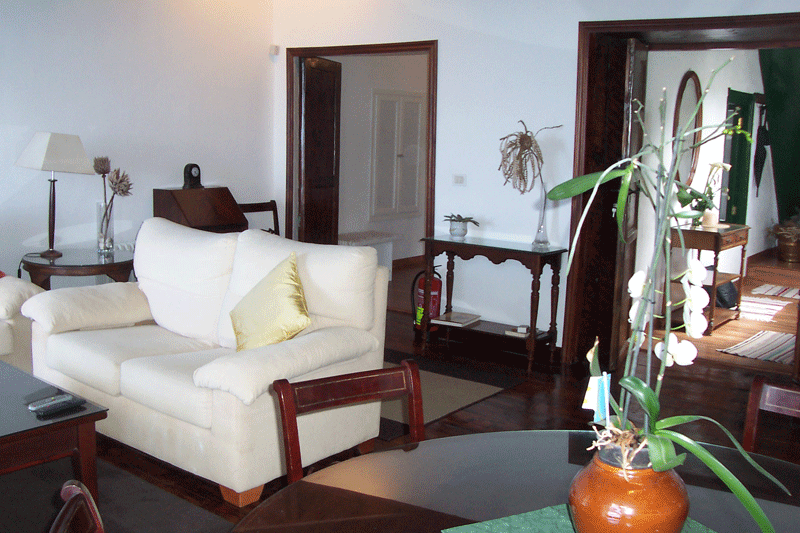 Sala de estar con sofá blanco, mesa, lámpara y plantas en Tenerife.