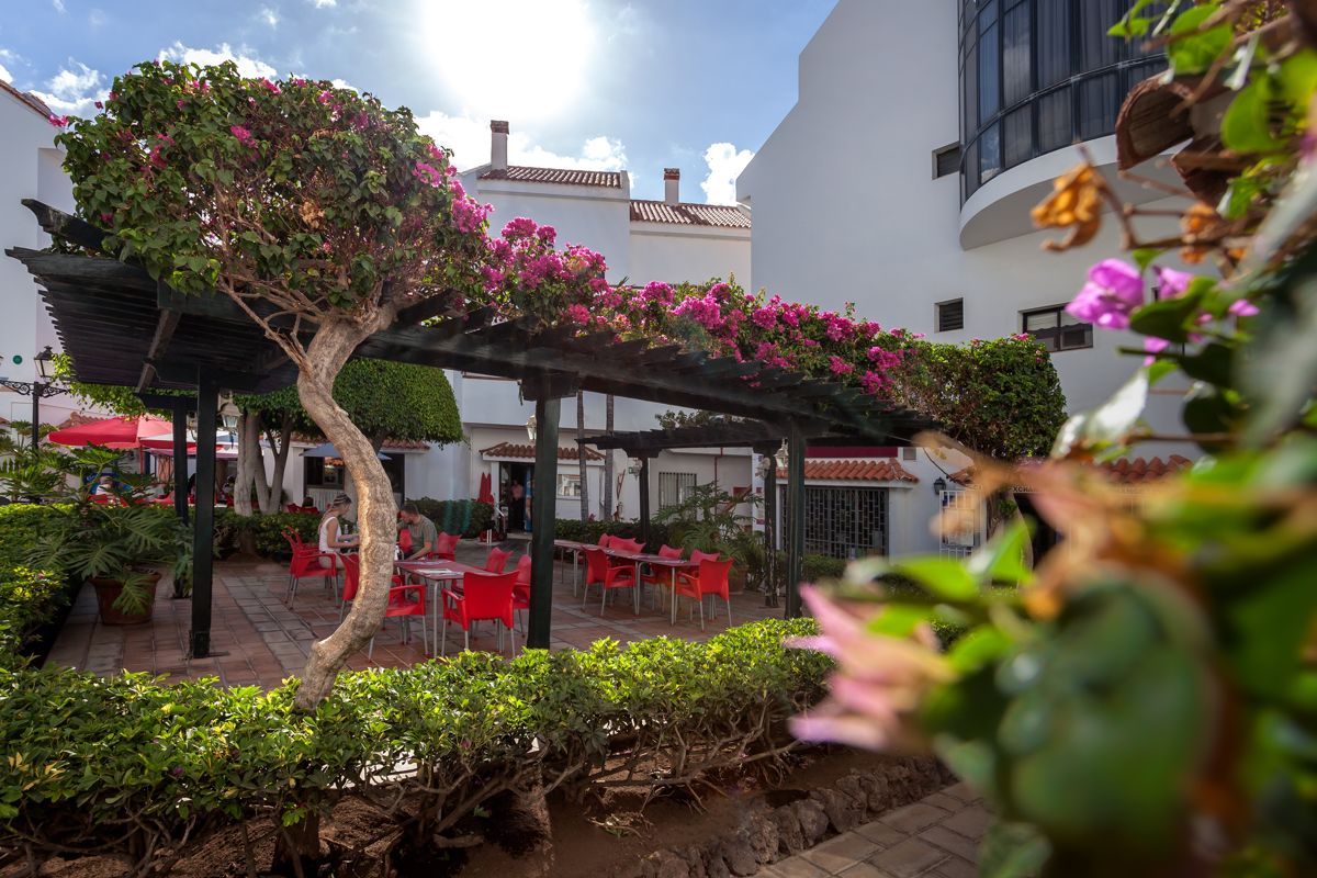 Patio con mesas rojas y pérgola de flores en Tenerife.