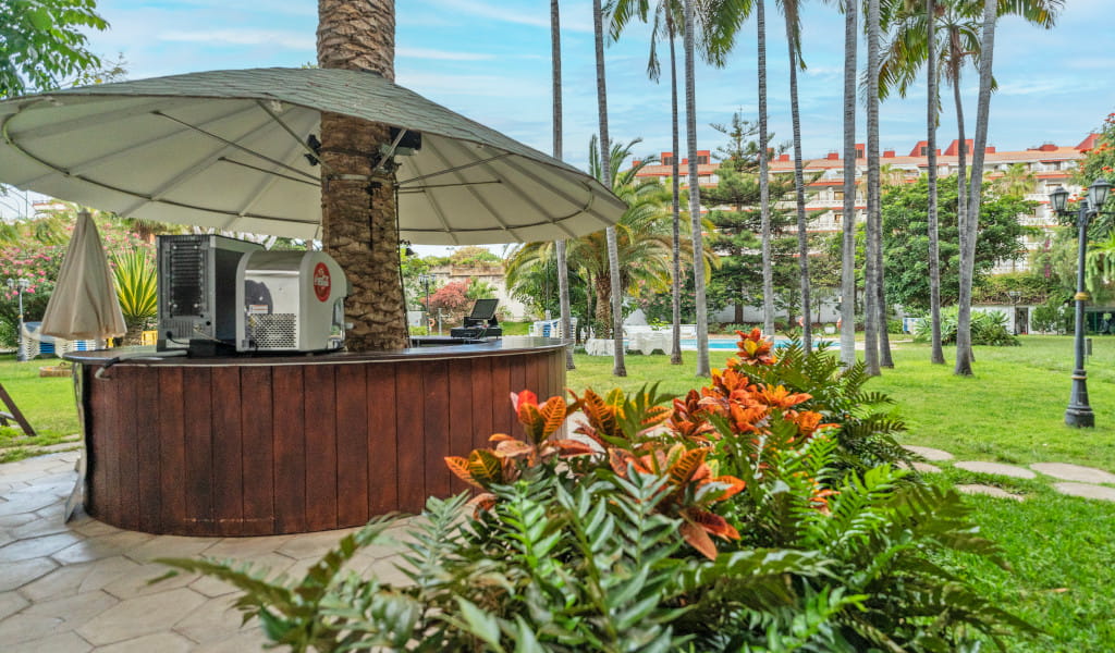 Bar en jardín tropical con palmeras y flores en Tenerife.