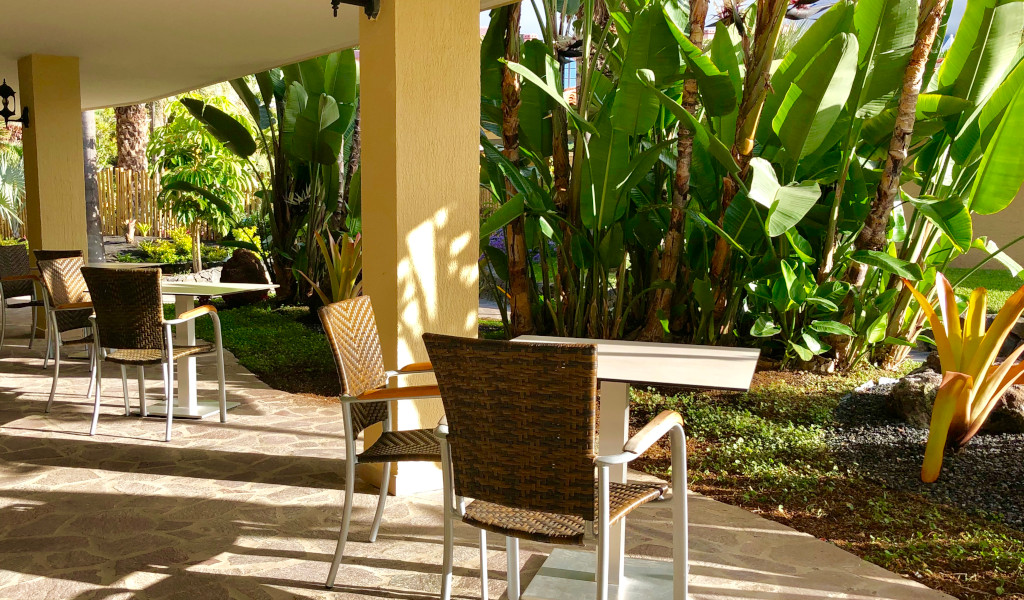 Terraza con mesas y sillas rodeadas de plantas en un jardín de Tenerife.