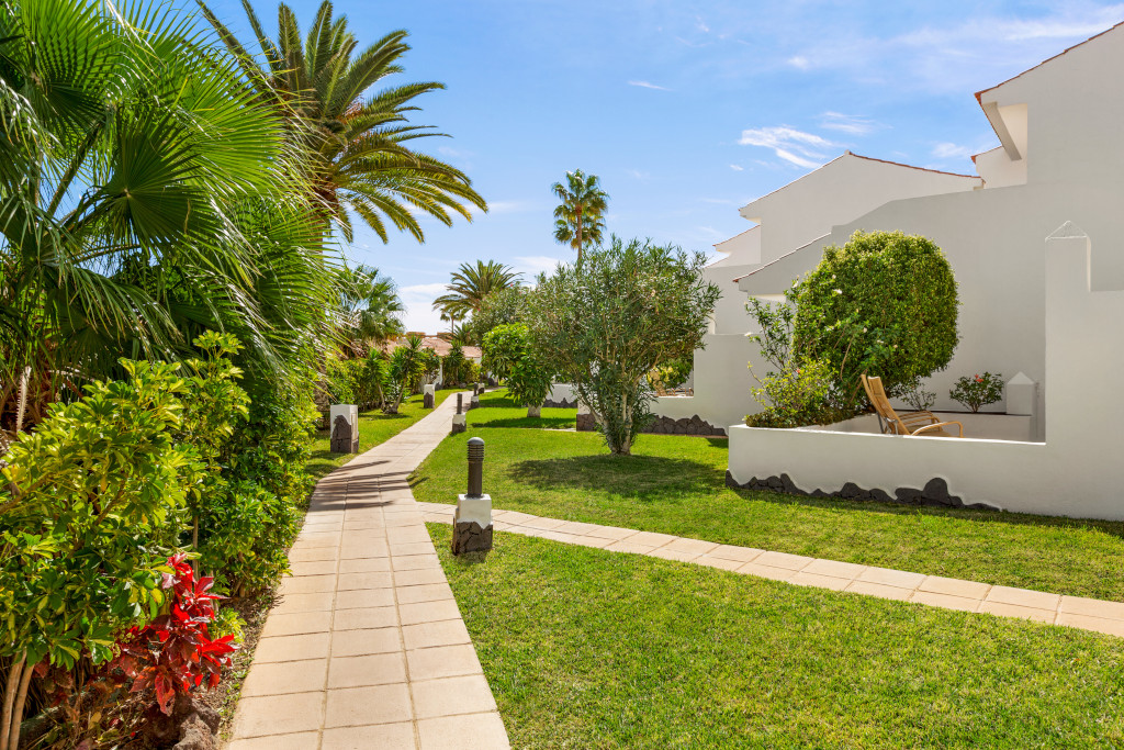 Camino rodeado de palmeras y vegetación en un jardín de Tenerife.