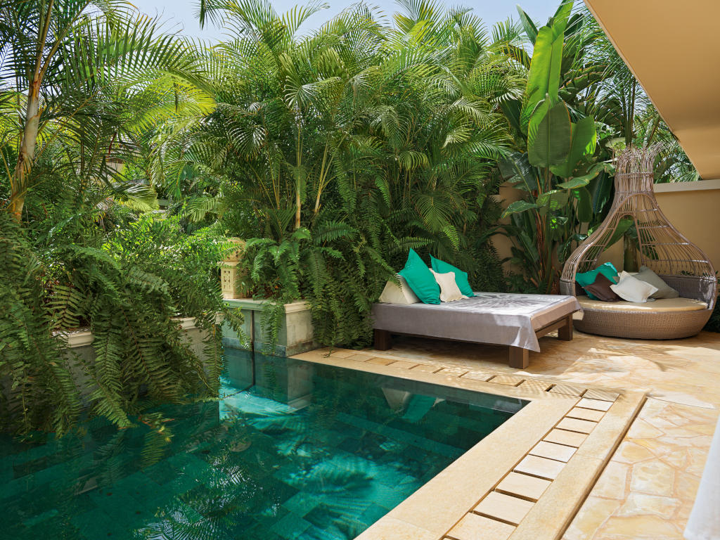 Piscina rodeada de vegetación y tumbonas en Tenerife.