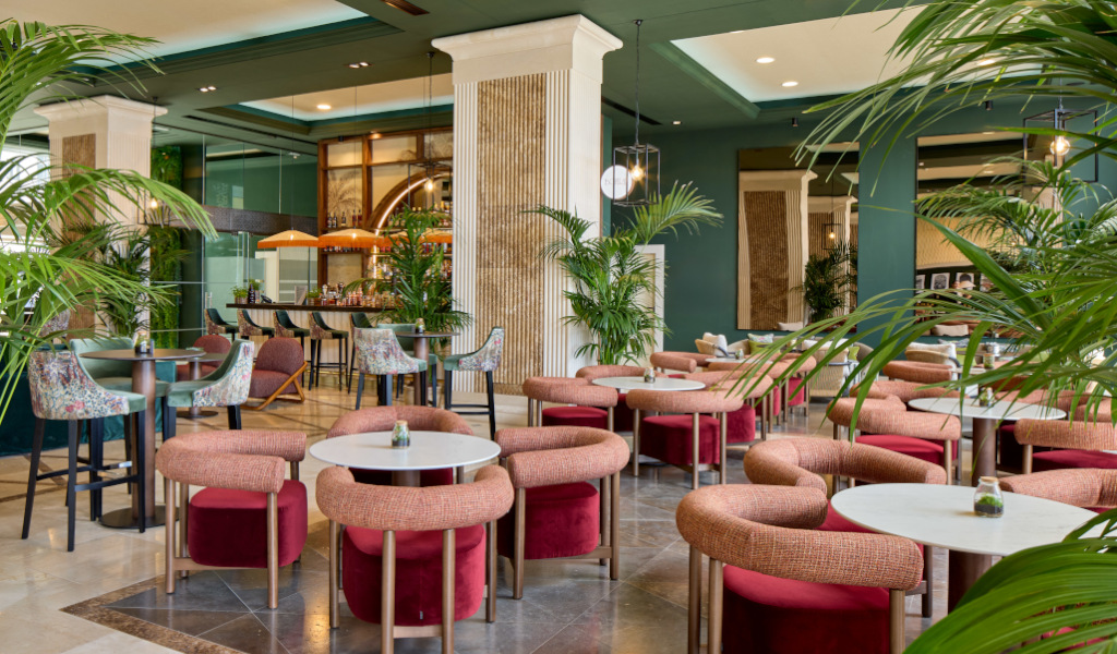 Área de comedor moderna con mesas y sillas rodeadas de plantas en Tenerife.