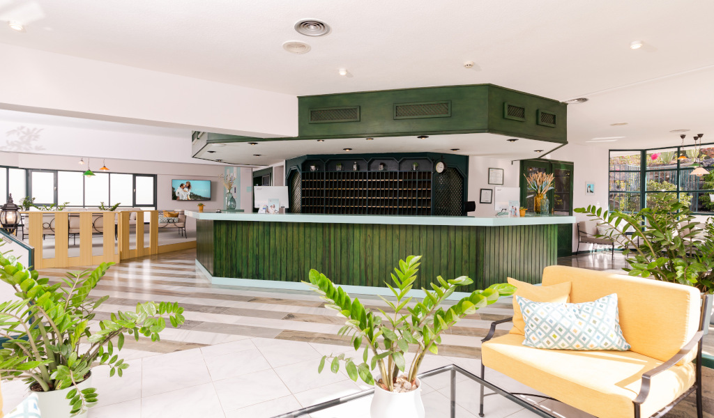 Recepción del hotel en Tenerife con mostrador verde y plantas decorativas.