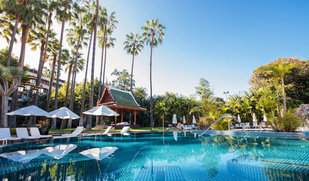 Piscina rodeada de palmeras y tumbonas en hotel de Tenerife.