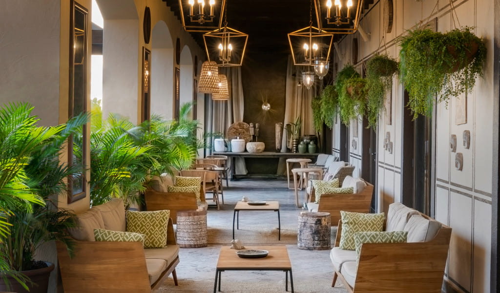 Pasillo decorado con plantas y lámparas colgantes en hotel de Tenerife.