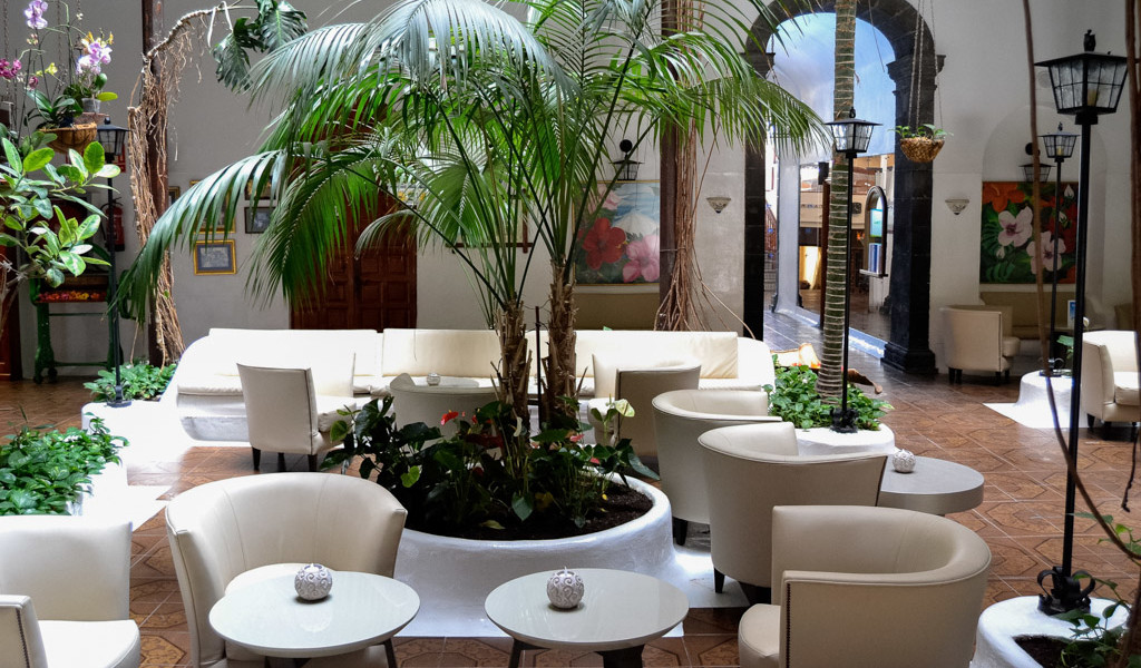 Sala de estar con plantas y muebles en un hotel de Tenerife.