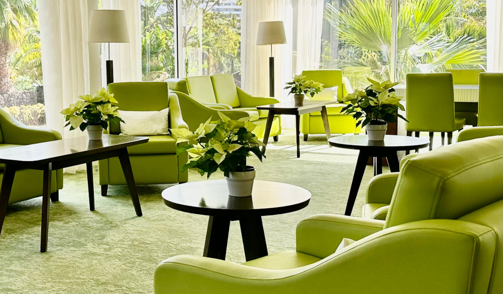 Sala con sillones verdes, mesas de centro y plantas en un hotel en Tenerife.