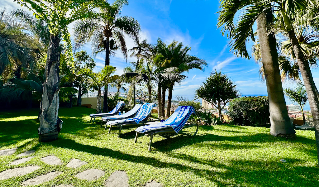 Tumbonas azules en un jardín con palmeras en Tenerife, vistas al mar al fondo.