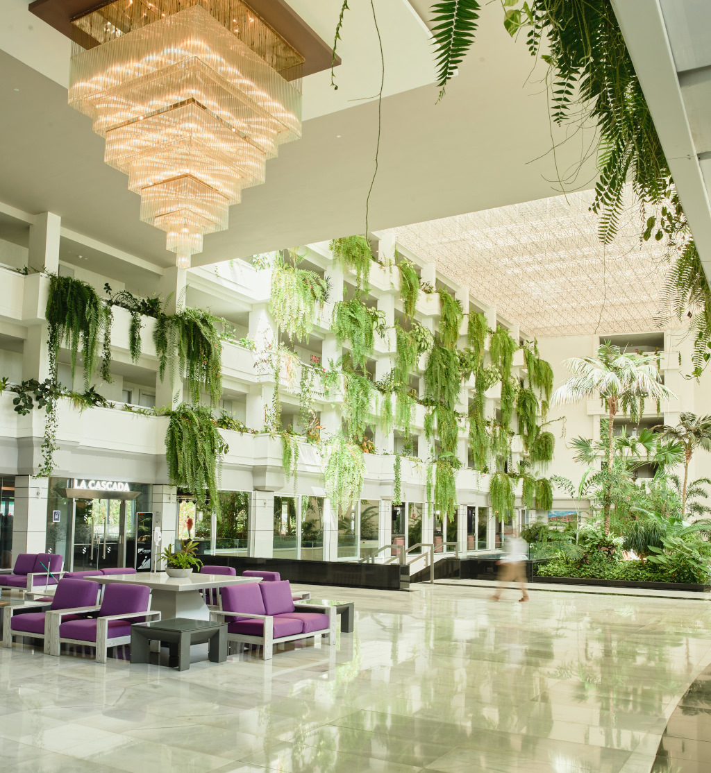 Vestíbulo del hotel en Tenerife con plantas colgantes y asientos morados.