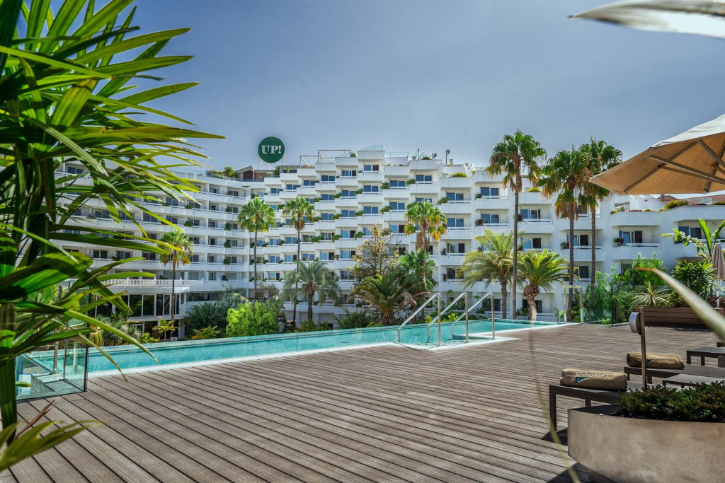 Piscina y terraza con palmeras en hotel de Tenerife.