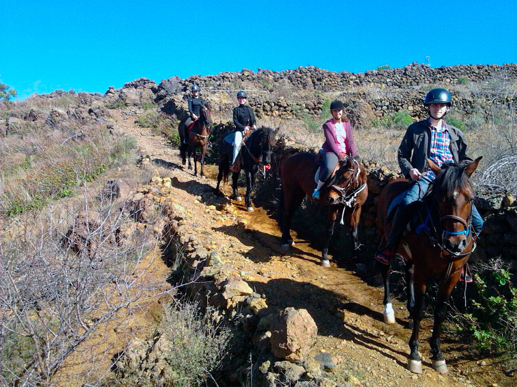 Grupo de personas montando a caballo en un camino de tierra en Tenerife.