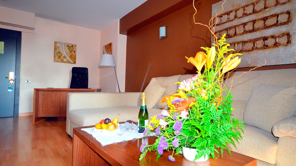 Hotel Adonis Plaza Hotel Adonis Plaza