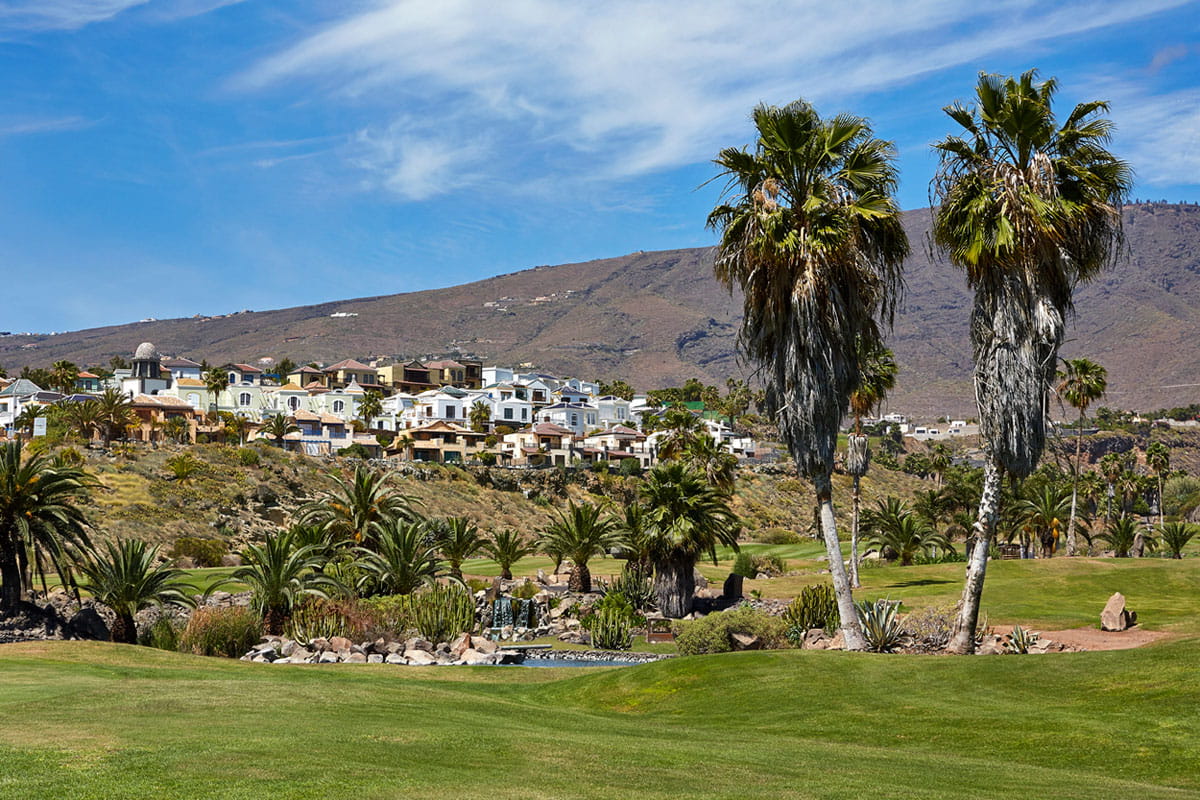Paisaje con palmeras y casas en colina de Tenerife.