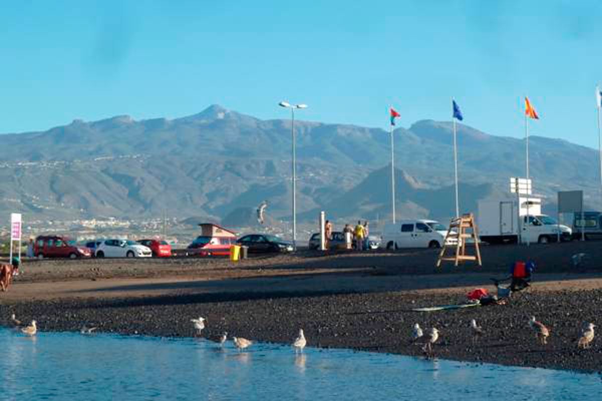 Playa de Los Cristianos en Tenerife con montañas al fondo y gaviotas en la orilla.