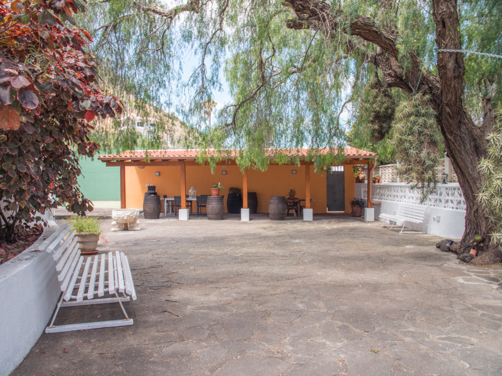 Patio exterior con bancos y árboles en un espacio rústico en Tenerife.