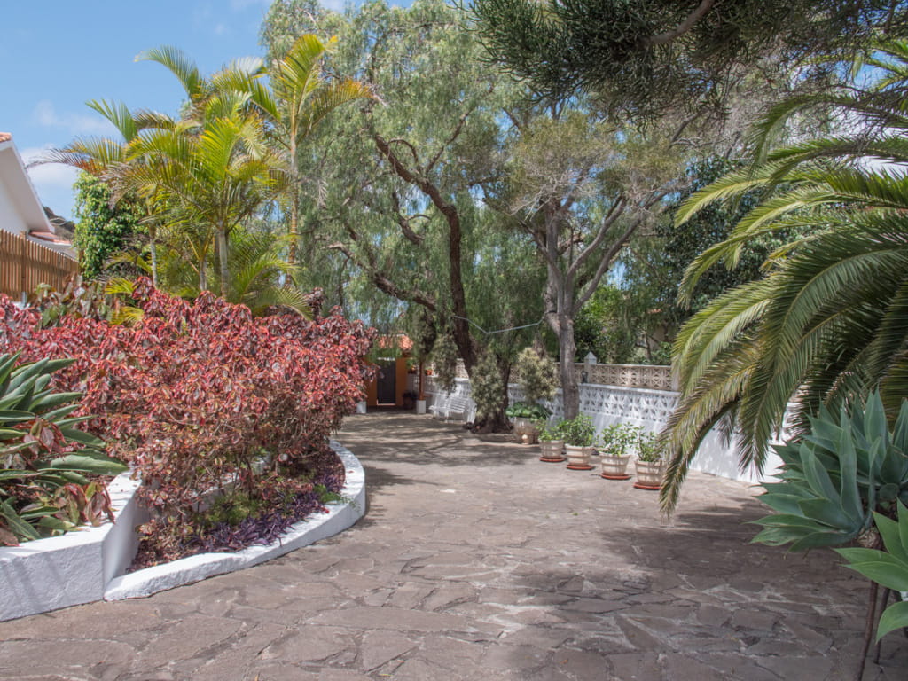 Jardín con camino de piedra y plantas tropicales en un lugar de Tenerife.