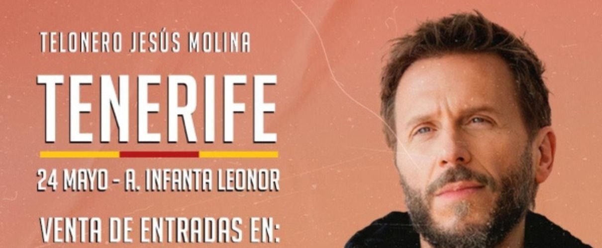 Noel Schajris en concierto