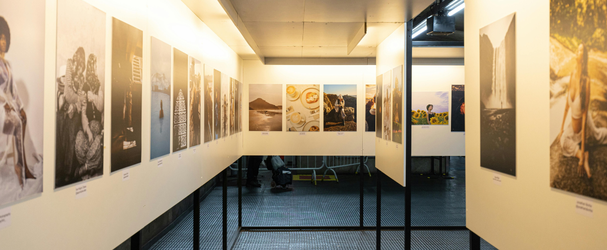 Exposición: Nudos y enredos